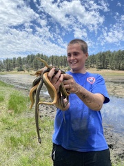 Thamnophis hammondii