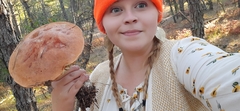 Leccinum vulpinum