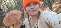 Leccinum vulpinum