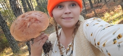 Leccinum vulpinum