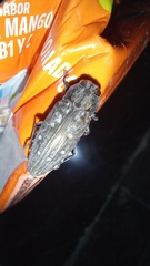 Chrysobothris basalis