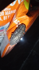 Chrysobothris basalis