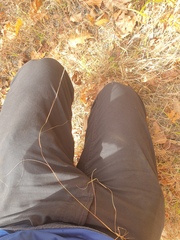 Sporobolus vaginiflorus