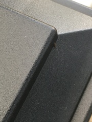 Entomobrya atrocincta