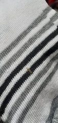 Chironomidae