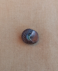 Chlorodiloma odontis