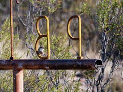 Leptasthenura aegithaloides