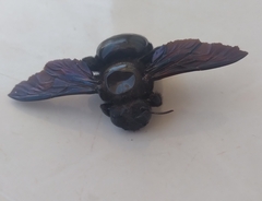 Xylocopa frontalis