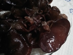 Auricularia cornea