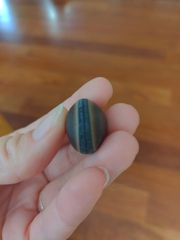 Mucuna sloanei