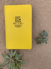 Penstemon albomarginatus