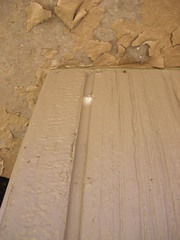 Philodromus spectabilis