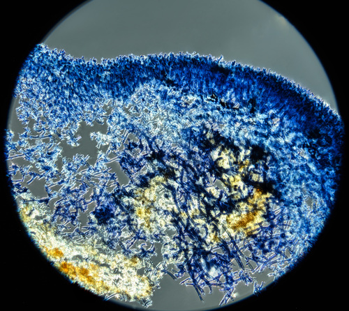 Cobalt Crust