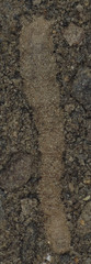 Vermileo