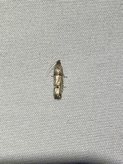 Tortricoidea