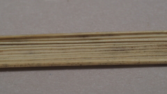 Thinopyrum intermedium