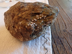 Diderma hemisphaericum