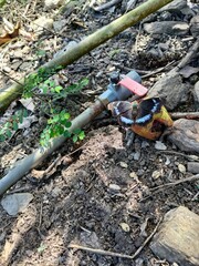 Kaniska canace drilon