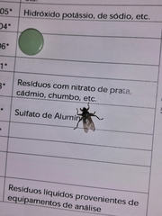 Pseudolynchia canariensis