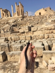 Archispirostreptus syriacus