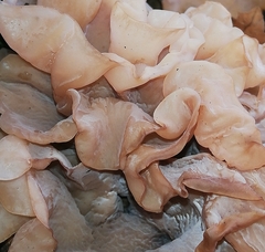 Phaeotremella frondosa