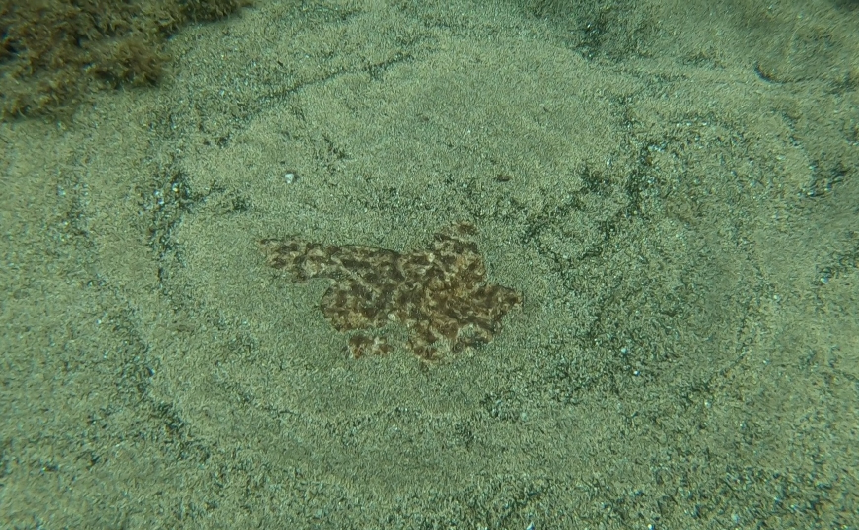 Tremolina mármol