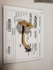 Cortinarius ochroglutinosus