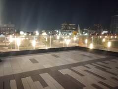 Zonotrichia albicollis