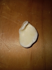 Littorinimorpha
