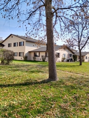 Sciurus carolinensis