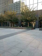 Poecile atricapillus