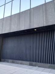 Poecile atricapillus