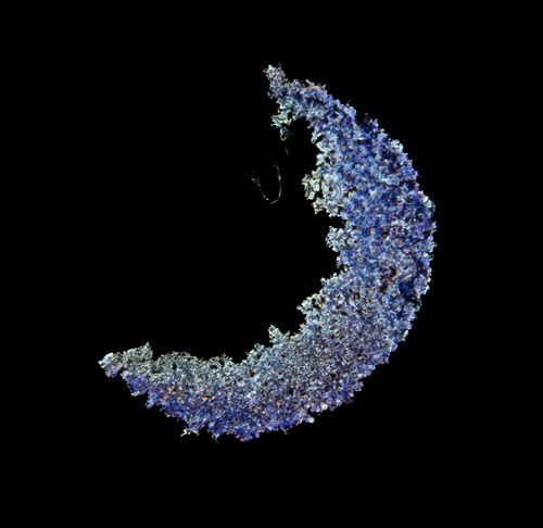 Cobalt Crust
