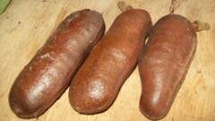 Hymenaea courbaril