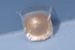 Phrurolithidae