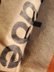 Plodia interpunctella