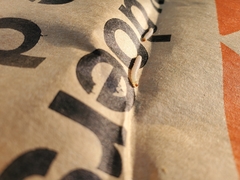 Plodia interpunctella