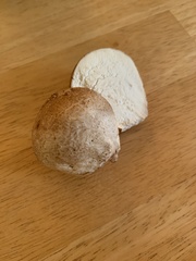 Calvatia