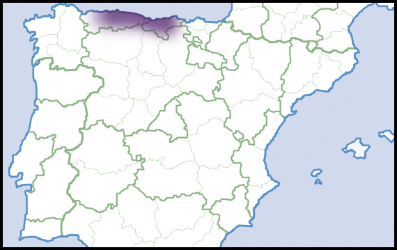 Papillodermatoidea