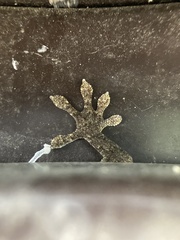 Gekko japonicus