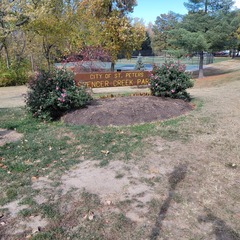 Lepomis macrochirus × cyanellus