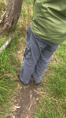 Cenchrus clandestinus