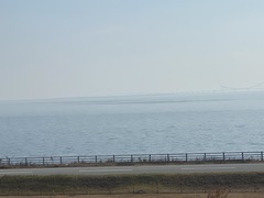 Sibirionetta formosa