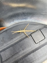 Achurum carinatum