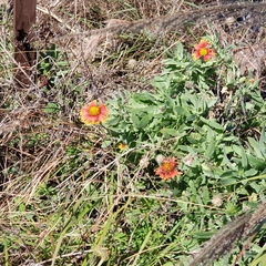 Image Associated With the Occurrence