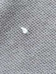 Prociphilus tessellatus