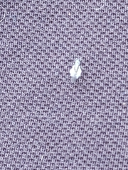 Prociphilus tessellatus