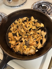 Craterellus lutescens