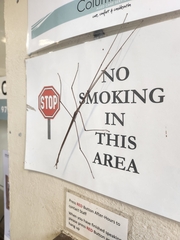 Ctenomorpha marginipennis