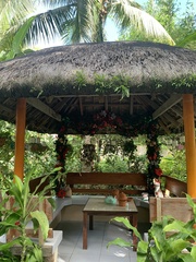 Saribus rotundifolius